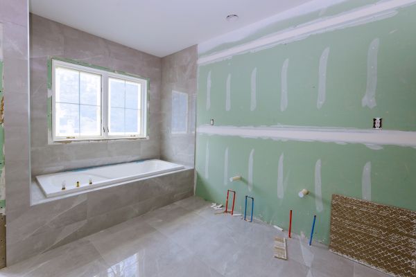 Bathroom Gutting in Carmel